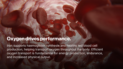 Pillar Performance - Iron Advanced + C