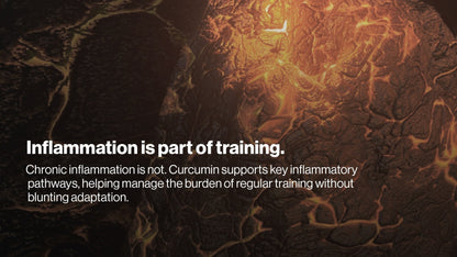 Pillar Performance - Curcumin Advanced +